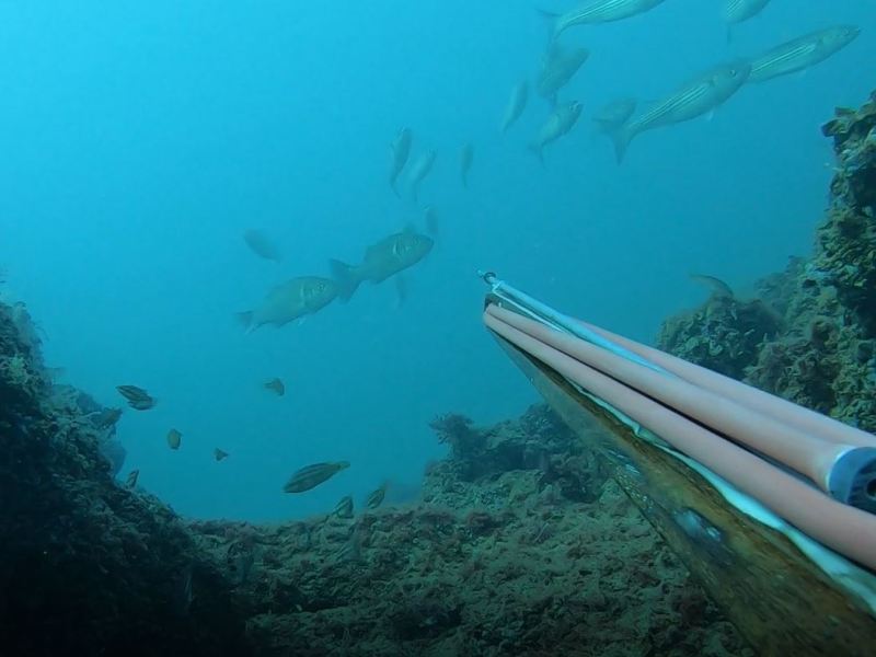 Who is in&nbsp;control?